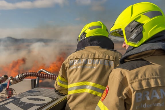 Fire brigade with fire and fire truck